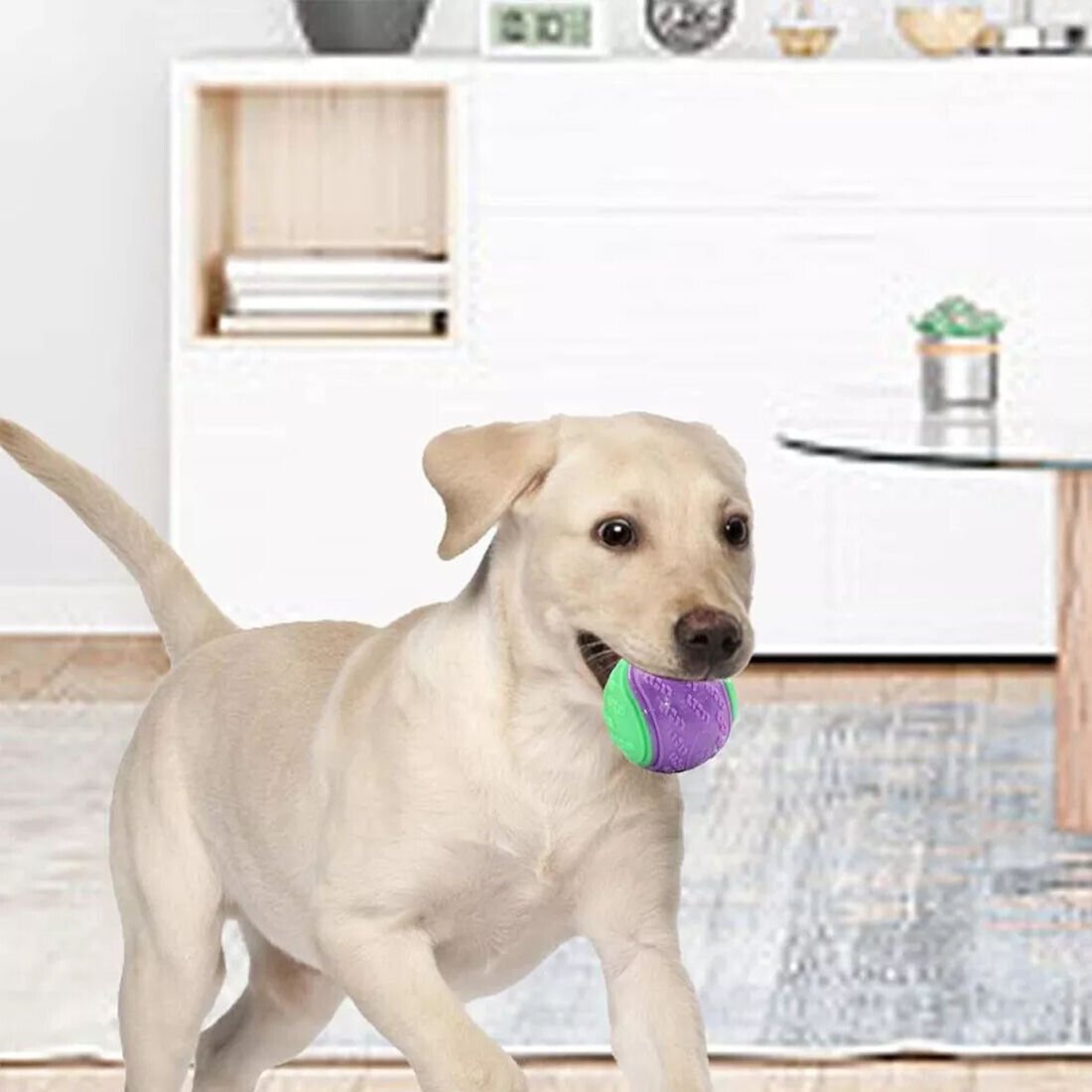 NEW Scooby-Doo Durable Squeaky Set Of 8 Dog Balls For Teeth Cleaning Interactive UK