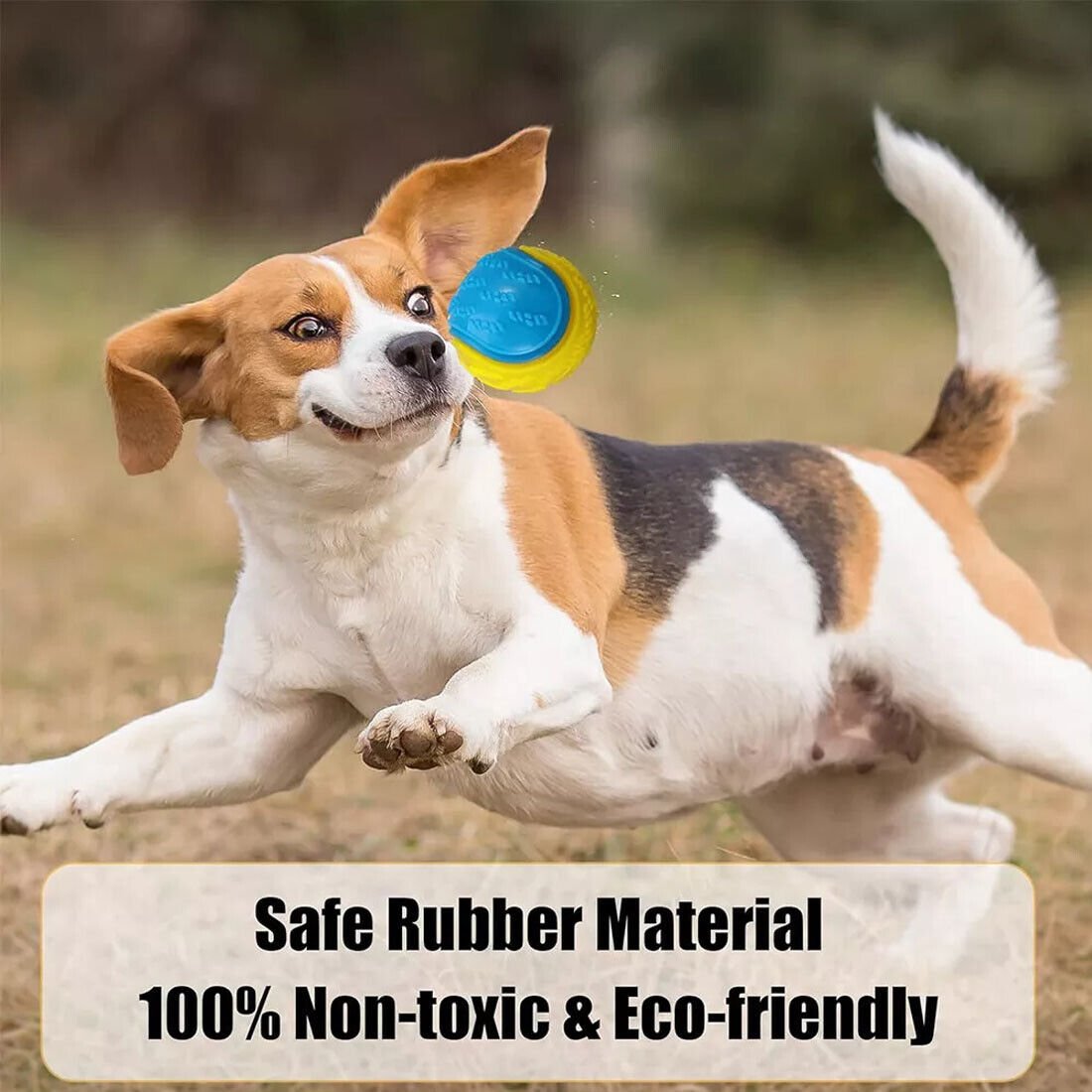 NEW Scooby-Doo Durable Squeaky Set Of 8 Dog Balls For Teeth Cleaning Interactive UK