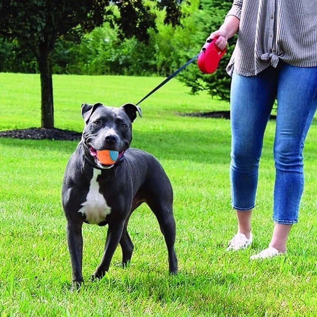 NEW Scooby-Doo Durable Squeaky Set Of 8 Dog Balls For Teeth Cleaning Interactive UK